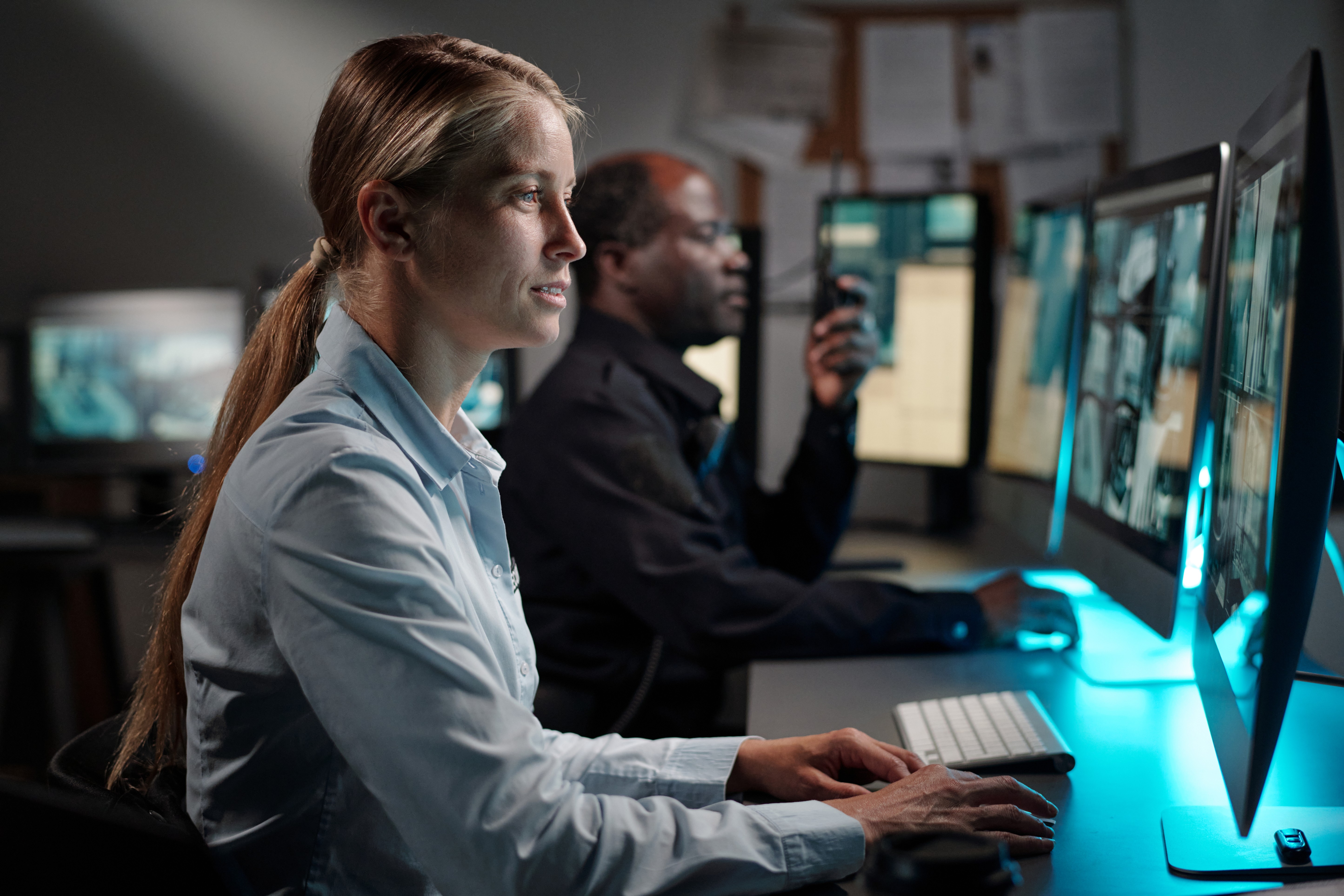 IT and network support team during technical review